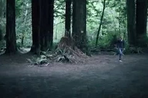 teen Hunting teen