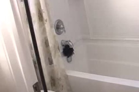 Loves rough nailing