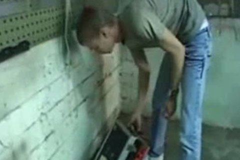 boys & Their young Sex Drives