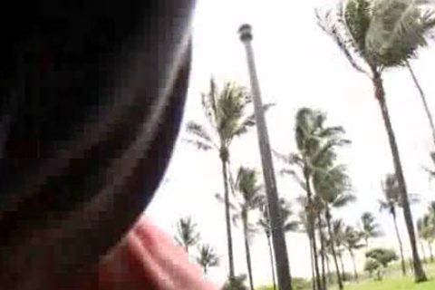 Wham Bam Thank you dude