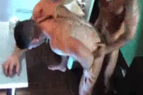 Hot fucks in the ass