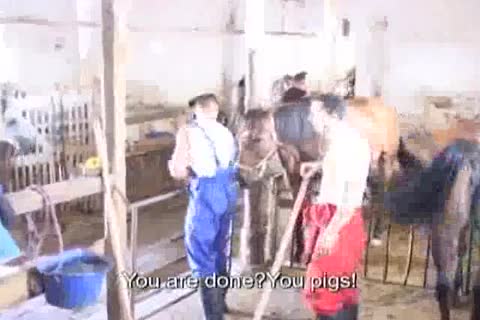 Tough cock