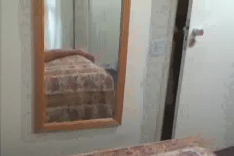 Butt fucking porn