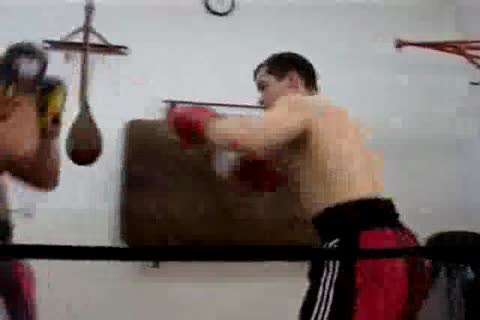 Boxers fucking