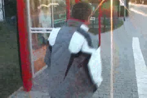 friendly Tussle Complete