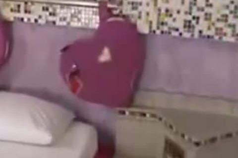 Randy Bears Have perfect conmaster Sex