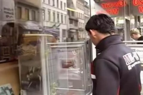 homosexuals In Frankfurt Am Main