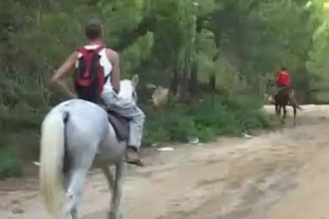 slaming In The Forest