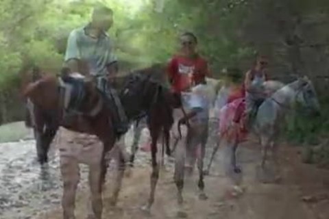slaming In The Forest