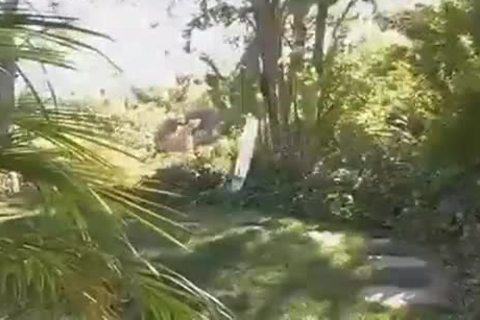 Tattooed homosexuals Outdoor poundling