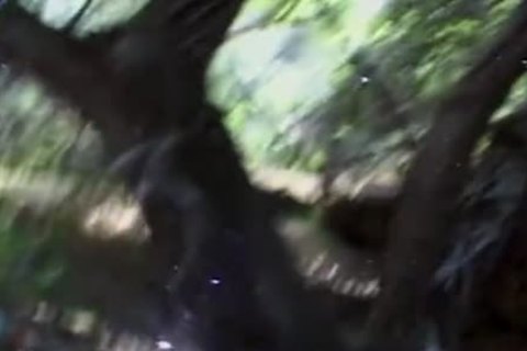 raw dick 03 - Scene 4 - Macho man movie scene