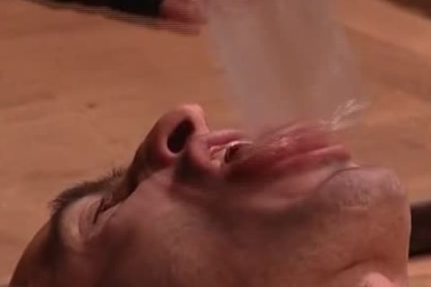 depraved Duck Have bondolder