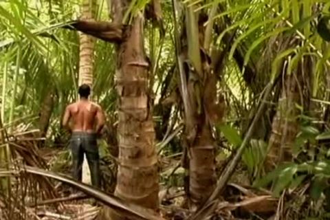 yummy Latino Hunk group sexing White guy In T