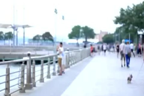 toon Crash 23 blow dick