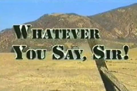 Wexecratever you Say, Sir!