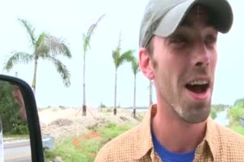 Thellos Baits Electric