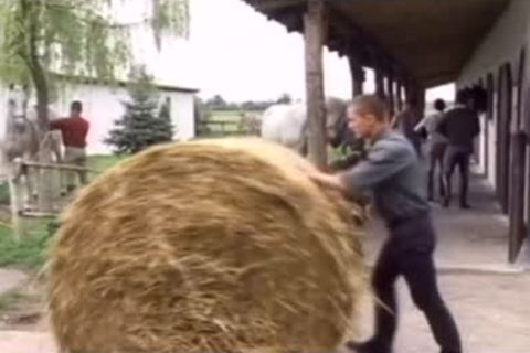 toy twinks enjoy gay ass boning