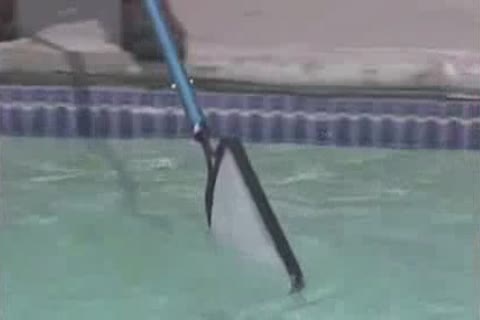 Hard fucking together with bear