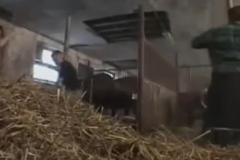 wet BB Farmtwinks III