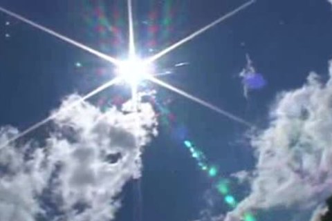 Four Elefellowsts Of crave - Scene 1