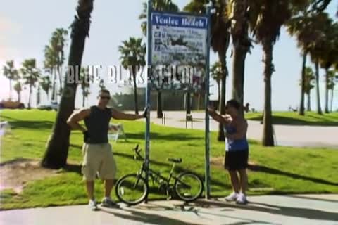 Tthellos chab Muscle P