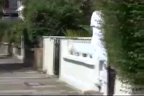 juicy studs enjoy suck