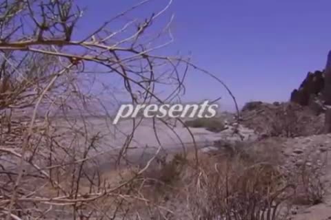 longingful gay fellows sucking & fucking