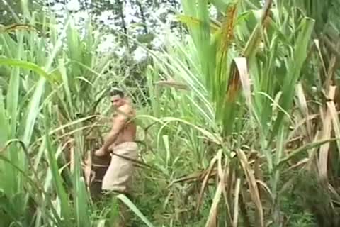 Renzo Mazime gets hellos cock sucked By Luca