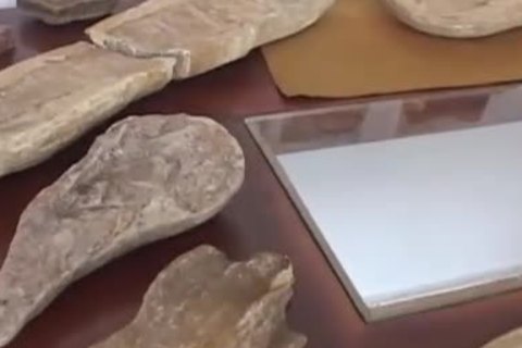 sweet studs Have Protected Sex On The Floor