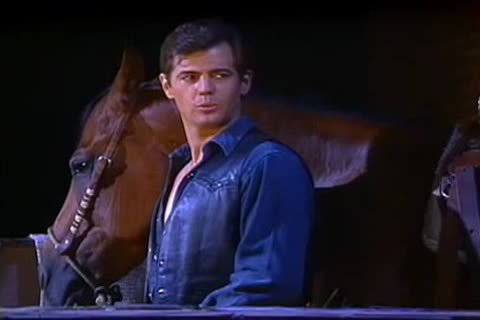 Jeff Stryker And A Stable boy