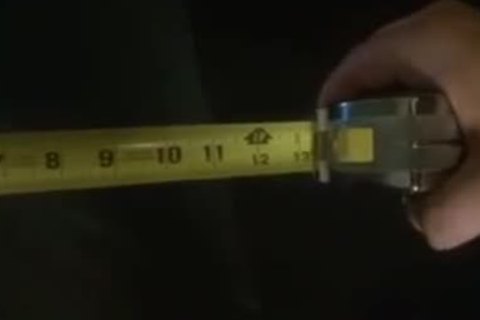 Real Bears Male sucking & pokeing orgy