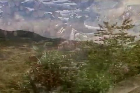 Sex Trax orgy group plow - Scene 1