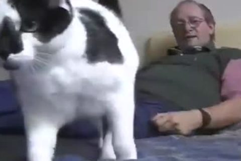 attractive gay friends pound In Forest