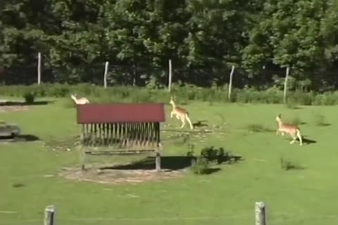 gay Porn Down twinks plow On Tthis dude Farm