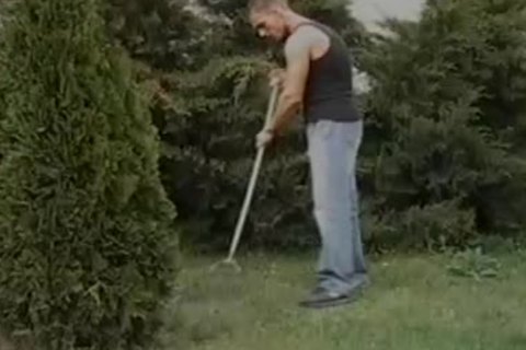 Luscious bfs sucking & pounding