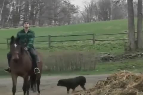 gay Porn wild Farmb-ys