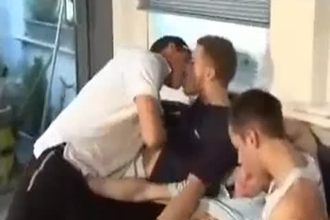 gay Sex Scally group