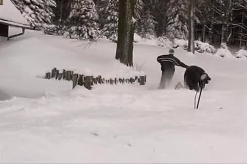 homosexual Tro 63100