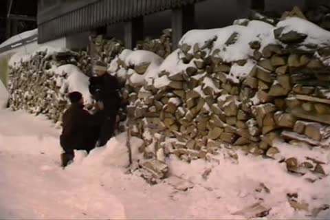 homosexual Tro 63100