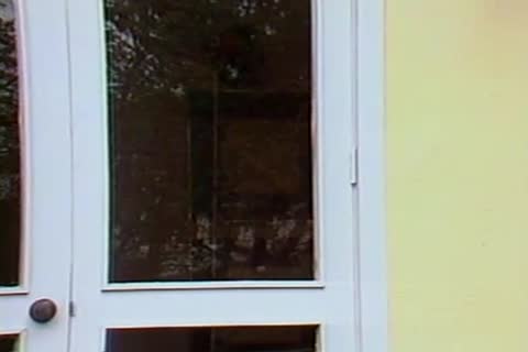 Chad's Personal Workout tutor