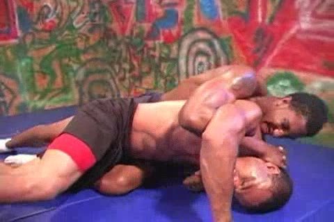 two delicious dark Fight