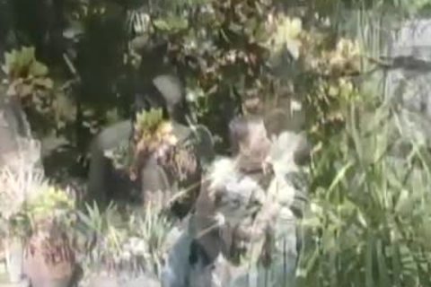 Intense studs fuck Hard