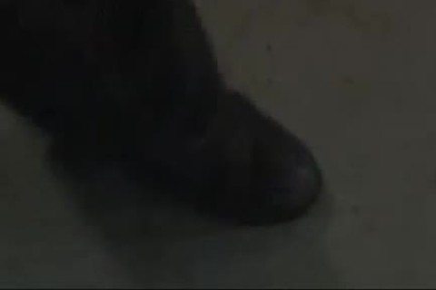 Luscious bfs pounding