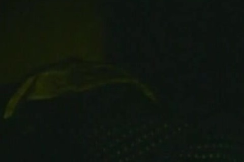 Pacific Coast howdyghway - Full movie scene