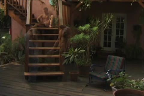 Michael Brandon Flip