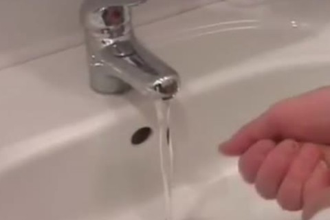 Russian manent And trainer