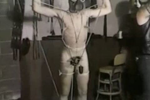 dominatrix-bitchtion