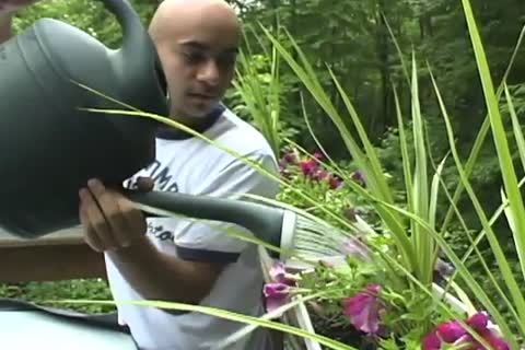 Bald dude Skinny Dips In small Pool And jerk offs