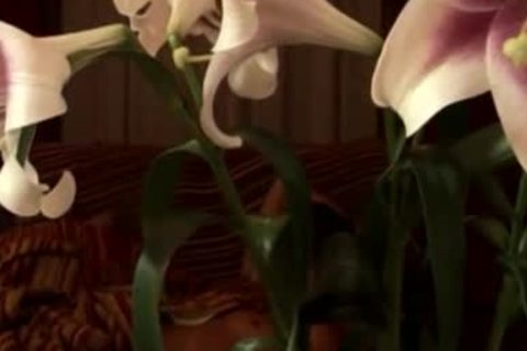 Straight older Bro bangs gay Little Bro