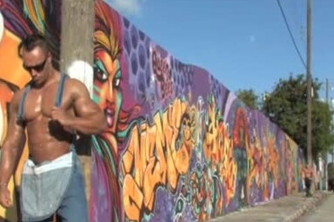 Ludovic And Gregory Bogaert